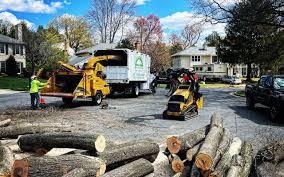 Best Grass Overseeding  in Madras, OR